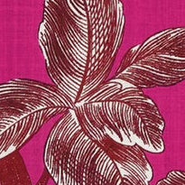 Inoui Editions Scarf 100