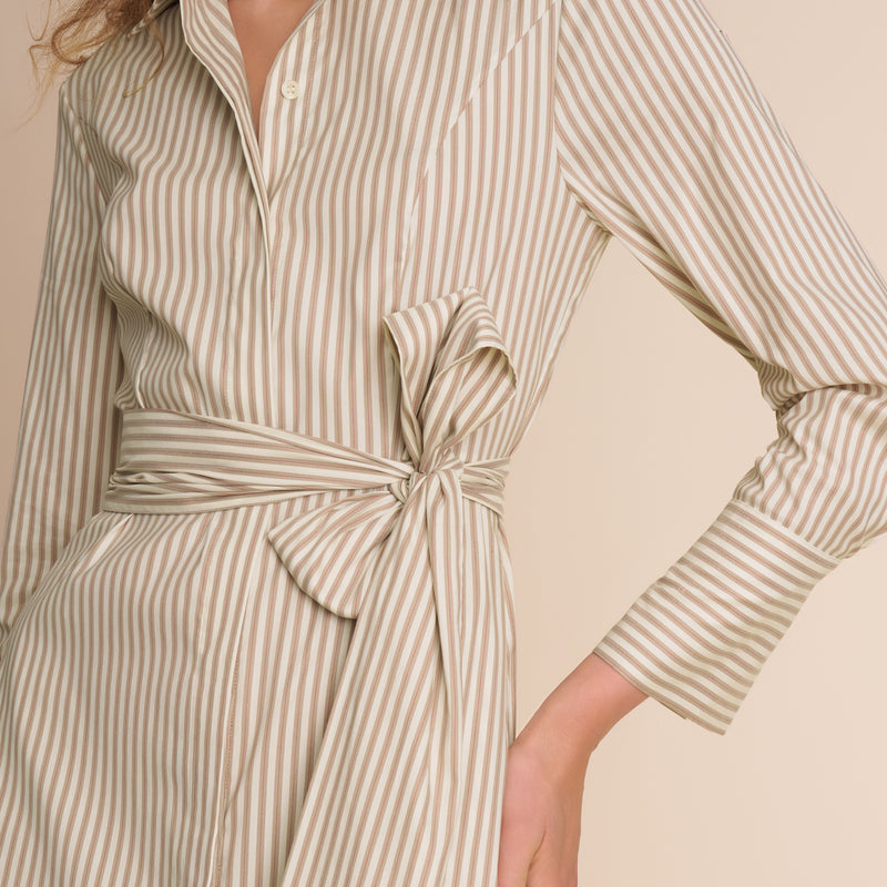 Charlie Shirt Dress