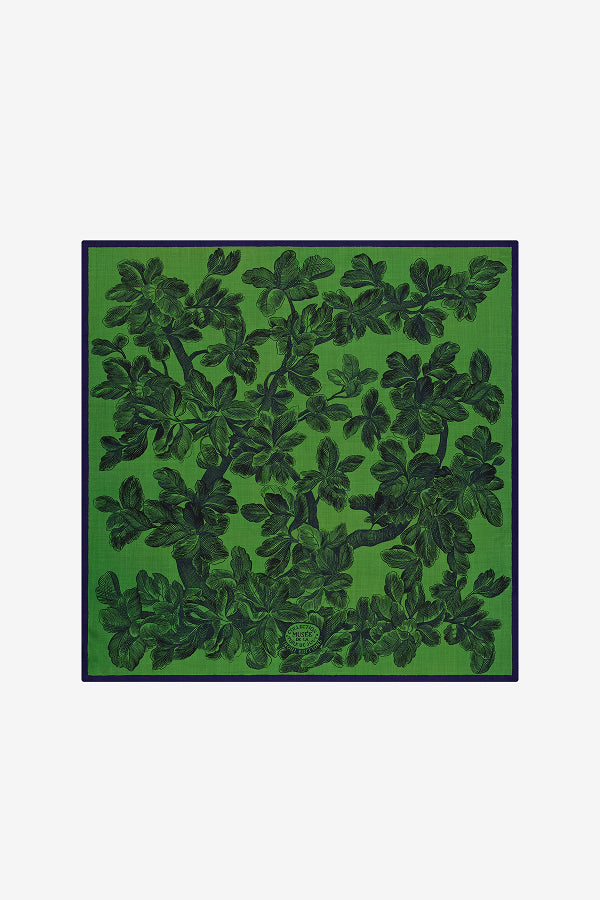 Inoui Editions Scarf 100