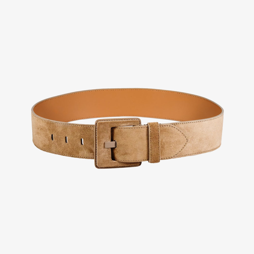 Packshot image of the Sedgwick belt